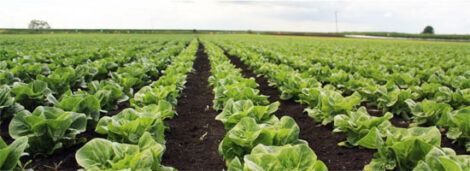 How Big is Your Water Footprint? Image